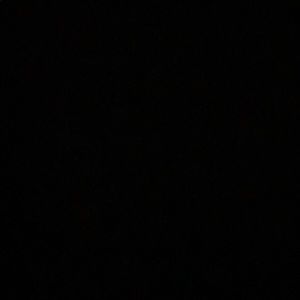 Meet your Posher, Timothy